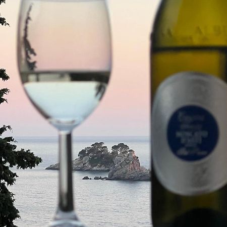 Ferienwohnung Seahaven Petrovac na moru Exterior foto