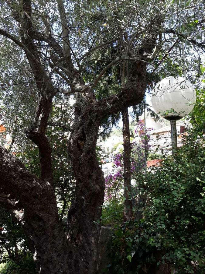 Ferienwohnung Seahaven Petrovac na moru Exterior foto
