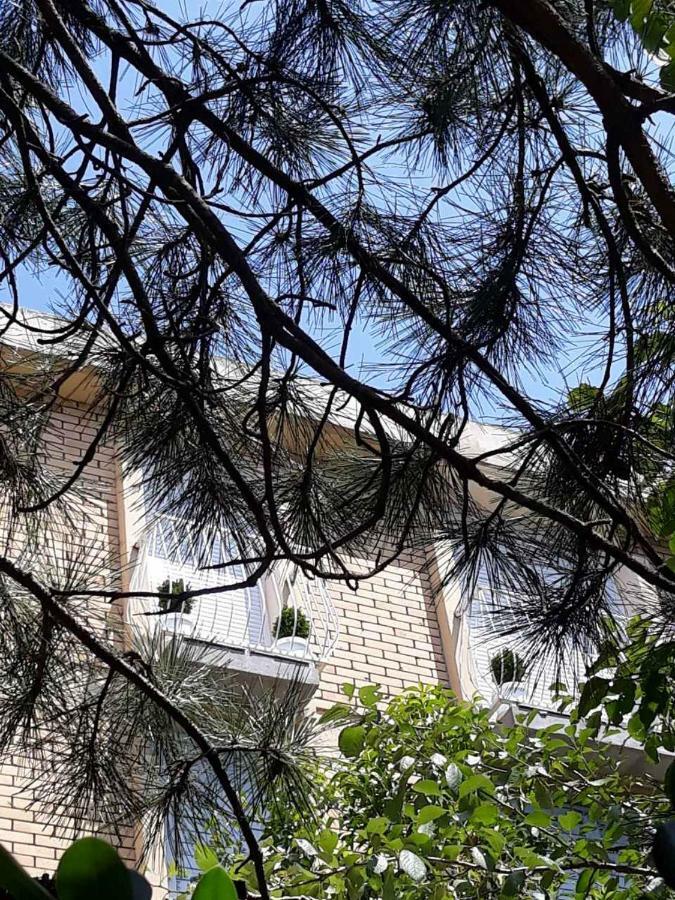 Ferienwohnung Seahaven Petrovac na moru Exterior foto